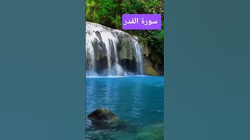 سورة القدر | تلاوة خاشعة مؤثرة بصوت جميل #سورة_القدر  #ليلة_القدر#القرآن_الكريم#تلاوة_خاشعة#رمضان