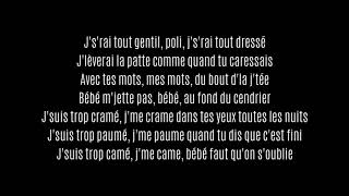Miniatura de vídeo de "Damien Saez - Pleure pas bébé + Paroles"