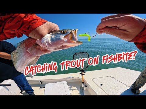 Catching Speckled Trout on FISHBITE!!!