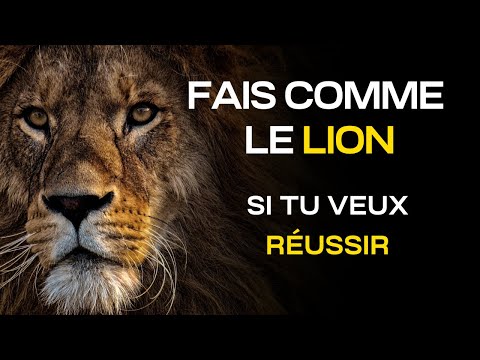 LA MENTALITÉ DU LION Motivation Et Développement Personnel