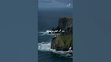 اغنية مش بدعي عليك كاري احمد اكسبلور حالات واتس لايك ترند جديد تصميم فيديوهات تصميمي 