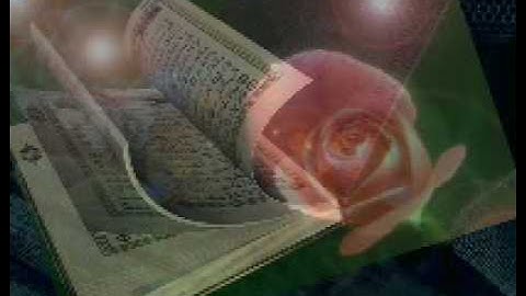 قورئانی پیرۆز به تهفسیری کوردی سورهتی النساء 5