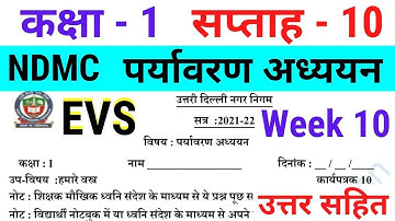 NDMC Class 1 EVS Week 10 Worksheet 10 (4/8/21) पर्यावरण अध्ययन सप्ताह 10 Class 1st week 10 solution