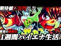 【検証】1週間ハイエナ生活 からくりサーカス編