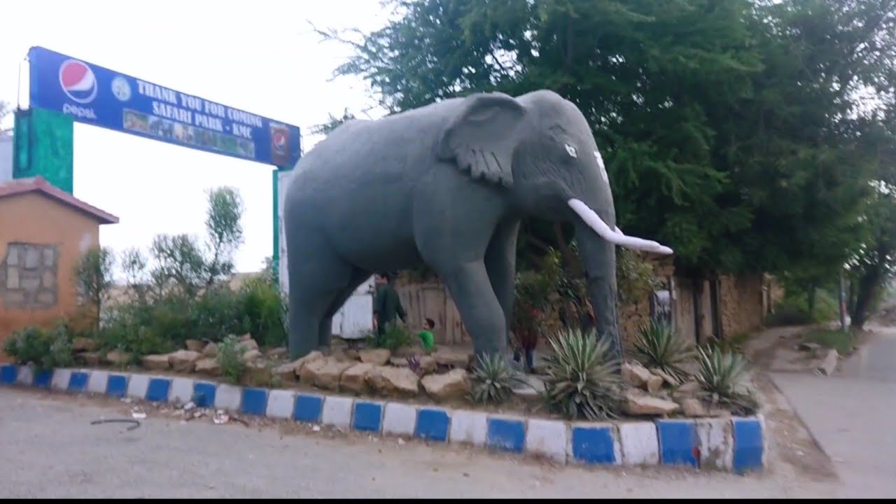 Karachi Safari Park Multi Talent With Nusrat YouTube karachi-safari-park-multi-talent-with-nusrat-youtube