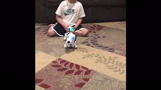 Toy Review Robo Dash screenshot 4