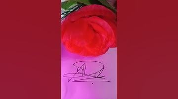 Adil signature style comments your name #signature #viralshort #adil #style #subscribe #shorts