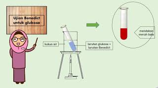Eksperimen: Menguji kehadiran kanji, glukos, protein dan lemak