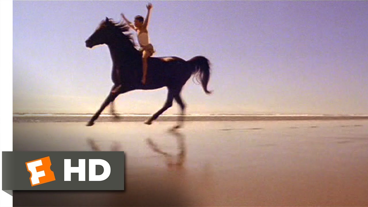 The Black Stallion (8/11) Movie CLIP - Riding the Stallion (1979 ...