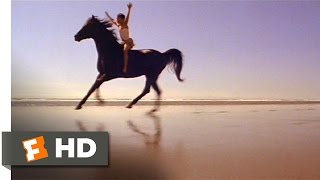 The Black Stallion (8\/11) Movie CLIP - Riding the Stallion (1979) HD