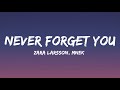 Zara Larsson, MNEK - Never Forget You (Lyrics)