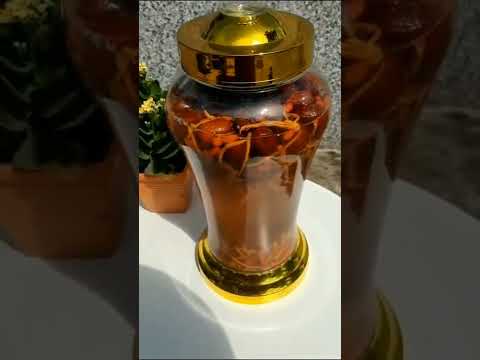 Cách ngâm rượu
