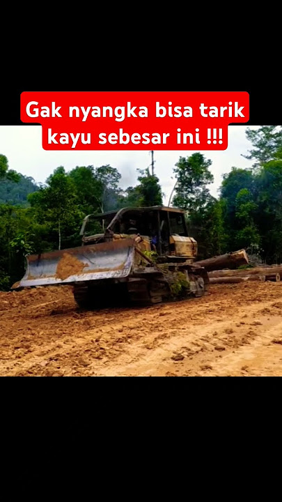 Sudah tua tapi masih mampu tarik kayu besar !!!