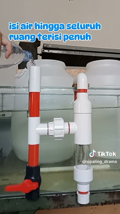 #overflow #aquarium #overflowing #aquariumfish#overflowaquarium#sumpfilter