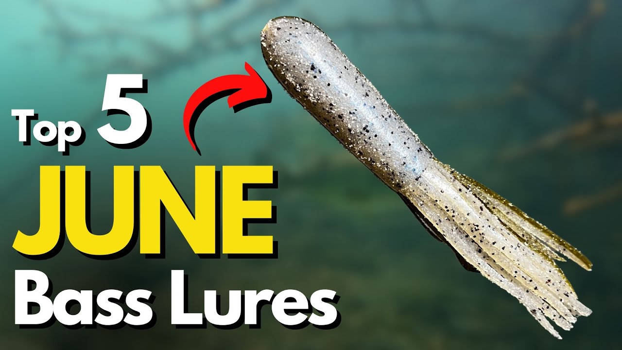 Top 5 June Bass Fishing Lures (Watch Underwater)