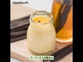 【バニラヤ】バニラたっぷり高級プリン