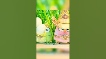 How do you reclaim your eggs in snake territory? #shorts #film #theangrybirds #comedy #adventure