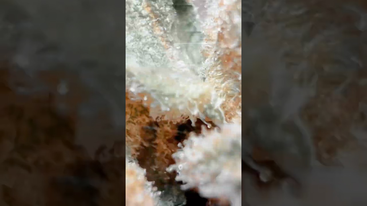 Uncle Snoop from Shop Hello Mary 