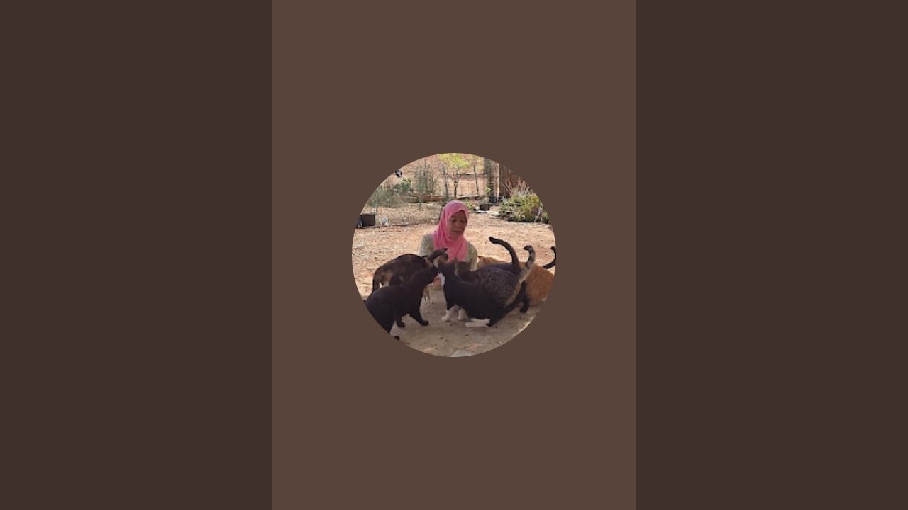 ¡Aicha Mallorca السلام عليكم ورحمه الله تعالى وبركاته