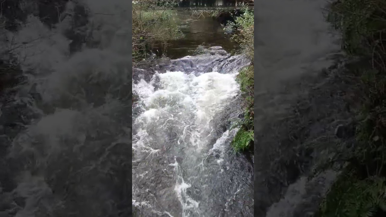 Sonido del río Gallo / Galicia