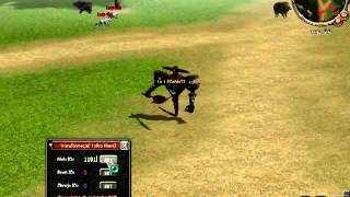Metin2 MultiHack 2013