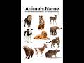 Animals Name | Learn Animals Name in English for kids #shorts #animals