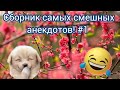 СБОРНИК ЛУЧШИХ АНЕКДОТОВ #1 🤣