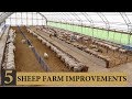 Five INEXPENSIVE Ways I Improved Our Sheep Farm: Vlog 143