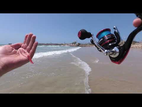 דייג 2019 זרזור חוף לברק וטלוויזיה סילגו יום עצמאות שמח  israel ultralight fishing  California rig