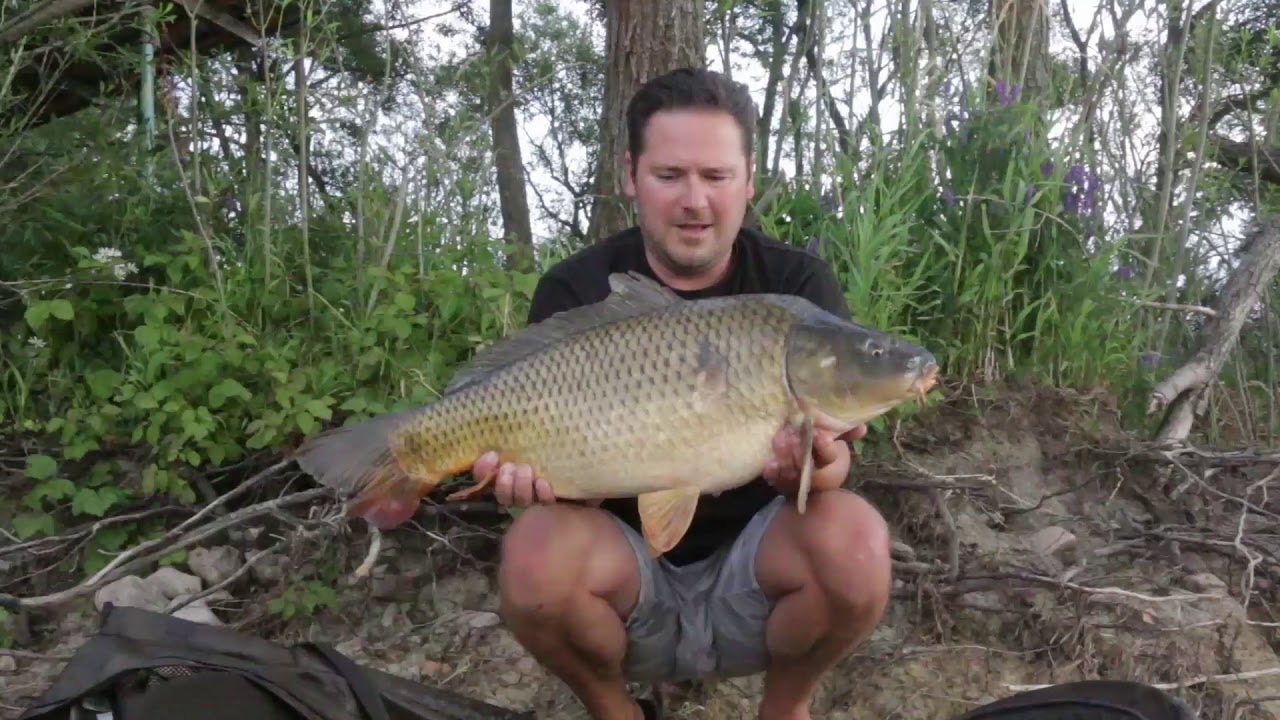 Oravska priehrada a lov kaprov 2019