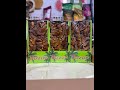 Video Image