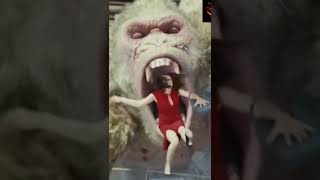 Animal Transformation