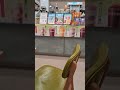 some cold sips 🤩🤩🤩#funny #lifeisbutadream #fun #pakistan