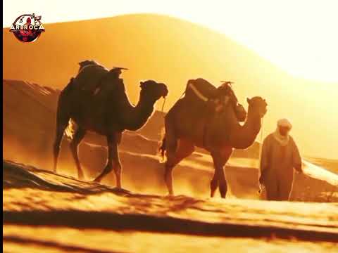 م ن ج و ر د هر أ ذ ل ت ك ل م ع ت ص م اربروكا