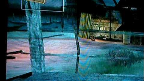 CoD 5 Wii Makin Glitches special