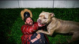 A PITBULL ATACOU O LADRAO