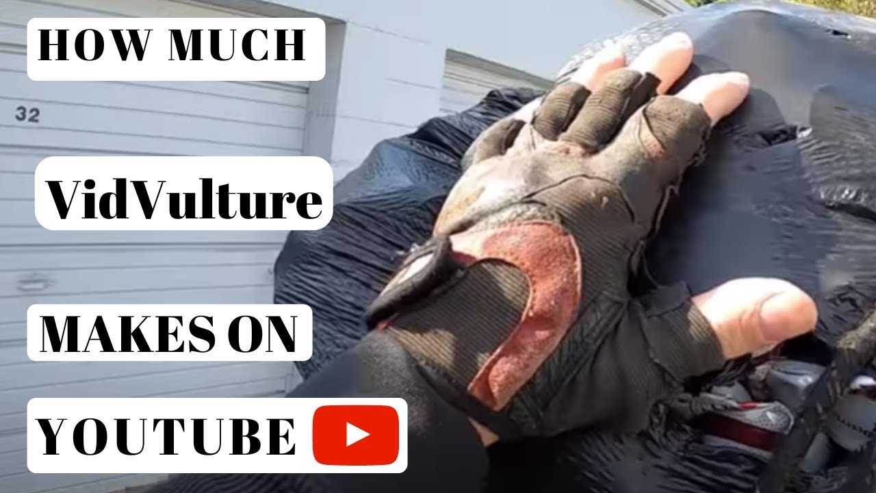 VidVulture ➜ How much VidVulture makes on Youtube