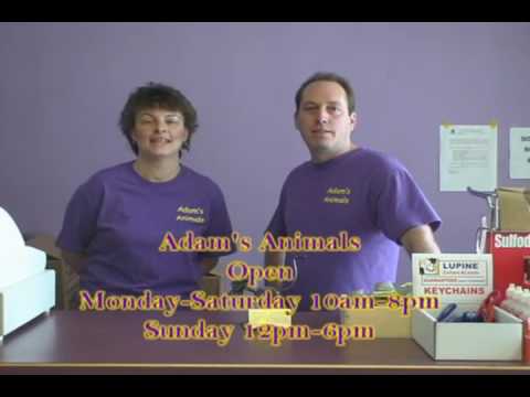 Adams Animals Located at 560 Lincoln St Worcester Massachusetts
