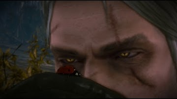 The Witcher 2 - Flotsam at Sunrise extended