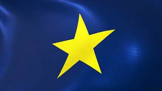 Flag of the Republic of Texas (1836–1839)