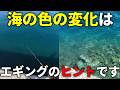 春イカを釣りたいなら重要なヒントになる、海の色の違いについて話します。