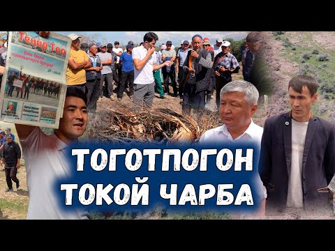 Video: Кочкор үлүлдөрү качан көбөйөт?