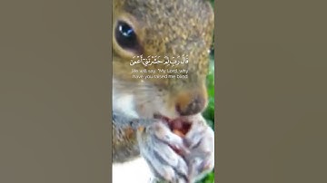 سورة طه الاية 124 #قرآن #المصحف #اكسبلور