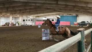 Danger On The Rocks - Grid Iron 1St Go 4Th In The Open And 2Nd In Breeders Futurity