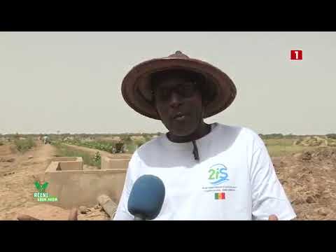 Miniature de la vidéo Conseiller Agricole et Rural, La SAED au cœur du Développement Rural.