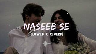 Naseeb Se [Slowed_X_Reverb] | Payal Dev, Vishal Mishra | Alone Soul Lyrics.
