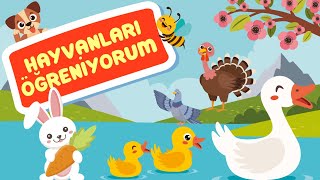 Hayvanları Tanıyalım - Eğlenceli Hayvanlar Şarkısı