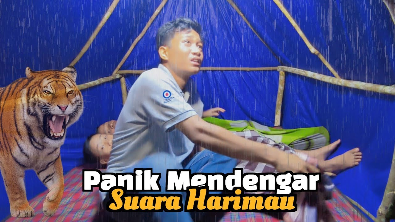 ketakutan!! mendengar suara harimau? camping hujan deras ditengah hutan tidur dikabin