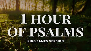 King James Psalms Audio Compilation | KJV Scripture for Prayer and Worship