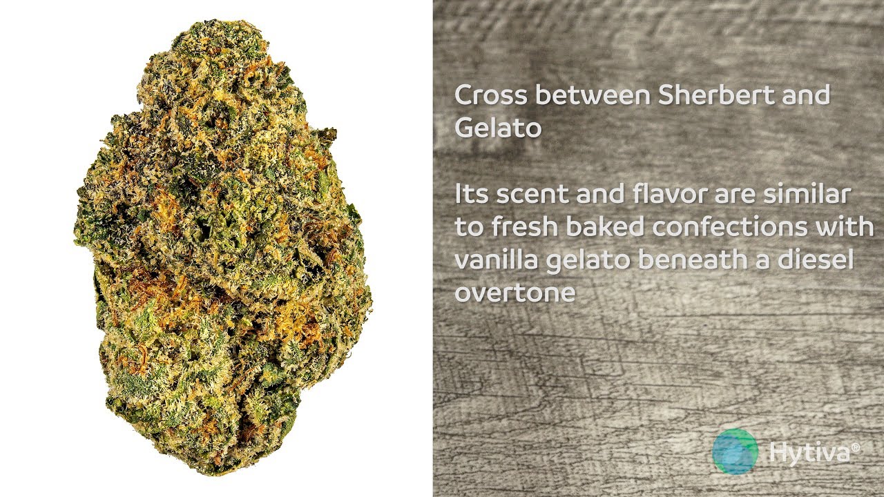 Sherblato | Strain Review